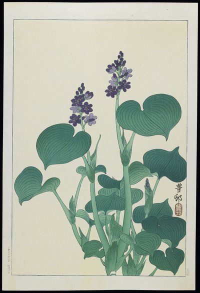 Water Hollyhock by Ohara Koson